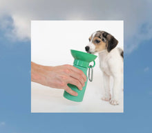 Load image into Gallery viewer, Springer Travel Bottle Mini