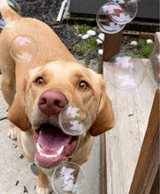 Load image into Gallery viewer, Bubble Treats