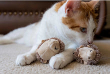 Load image into Gallery viewer, Feline Frenzy Mama and Chip