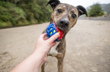 Load image into Gallery viewer, GoGo AstroBall