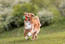 Load image into Gallery viewer, GoGo AstroBall