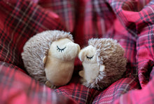 Load image into Gallery viewer, Feline Frenzy Mama and Chip