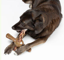 Load image into Gallery viewer, Benebone Pawplexer