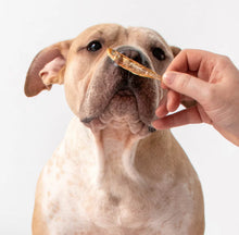 Load image into Gallery viewer, Atlantic Silversides