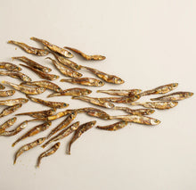 Load image into Gallery viewer, Atlantic Silversides