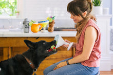 Load image into Gallery viewer, Barktender Dog Toys