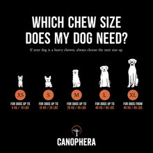 Load image into Gallery viewer, Briar Root