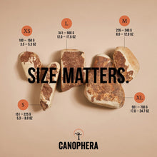 Load image into Gallery viewer, Briar Root