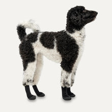 Load image into Gallery viewer, Gooeez Dog Boots