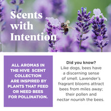 Load image into Gallery viewer, Hive Disc & Lick Mat Scented