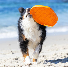 Load image into Gallery viewer, Hive Disc & Lick Mat Scented