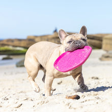 Load image into Gallery viewer, Hive Disc & Lick Mat Scented