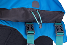 Load image into Gallery viewer, Approach Overnight Dog Pack