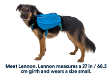 Load image into Gallery viewer, Approach Overnight Dog Pack