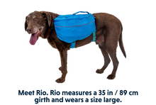 Load image into Gallery viewer, Approach Overnight Dog Pack