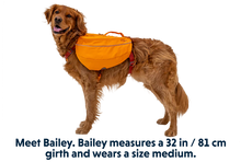 Load image into Gallery viewer, Approach Overnight Dog Pack