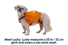 Load image into Gallery viewer, Approach Overnight Dog Pack