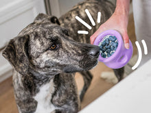 Load image into Gallery viewer, West Paw Limited Edition Toppl