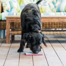 Load image into Gallery viewer, LickiMat Dog Mats