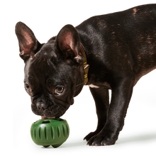 Load image into Gallery viewer, The Pupsicle