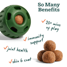 Load image into Gallery viewer, Pupsicle Refill Pops for All-In-1 Health