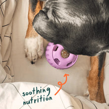 Load image into Gallery viewer, Pupsicle Calming Wellnes Pops Refills