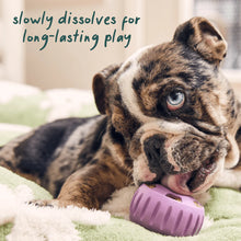 Load image into Gallery viewer, Pupsicle Calming Wellnes Pops Refills