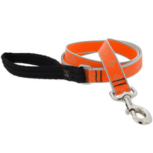 Load image into Gallery viewer, Reflective High Lights 1” Wide Leash