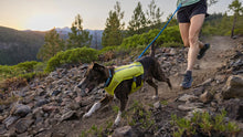 Load image into Gallery viewer, Trail Runner Leash