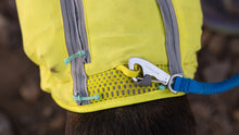 Load image into Gallery viewer, Trail Runner Leash