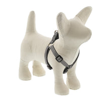 Load image into Gallery viewer, ECO by Lupine Step in Harness 1/2”