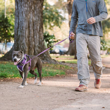 Load image into Gallery viewer, Front Range Leash
