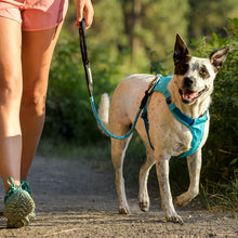 Load image into Gallery viewer, Knot-a-Long Leash