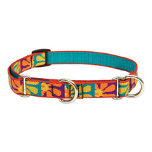 Load image into Gallery viewer, Lupine Martingale Collar 3/4in