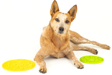 Load image into Gallery viewer, ZoomieRex Lick Mat