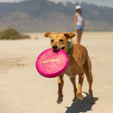 Load image into Gallery viewer, Camp Flyer Toy