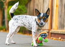 Load image into Gallery viewer, 90s Classics