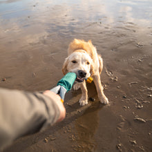 Load image into Gallery viewer, Pacific Loop Toy