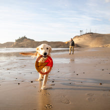 Load image into Gallery viewer, Pacific Ring Toy