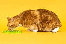 Load image into Gallery viewer, ZoomieRex Lick Mat