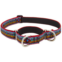 Load image into Gallery viewer, Lupine Martingale Collar 1in