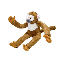 Load image into Gallery viewer, Albert Monkey