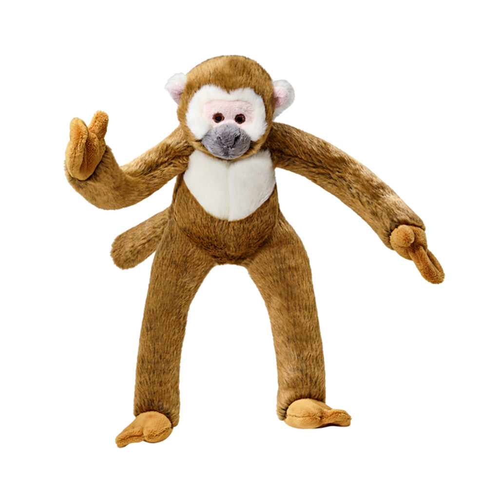 Albert Monkey