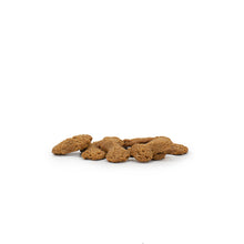 Load image into Gallery viewer, Peanut Butter Pinschers