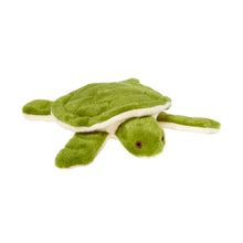 Load image into Gallery viewer, Esmerelda Turtle