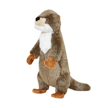 Load image into Gallery viewer, Harry Otter