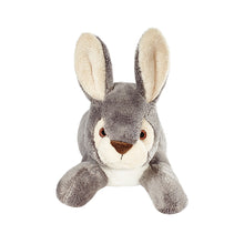 Load image into Gallery viewer, Jessica Bunny