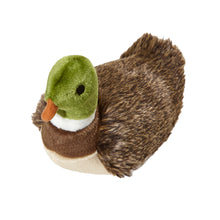 Load image into Gallery viewer, Morley Mallard