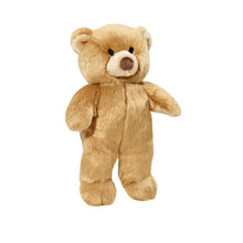 Load image into Gallery viewer, Mr. Honey Bear