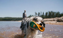 Load image into Gallery viewer, Hydro Plane Floating Disc Toy